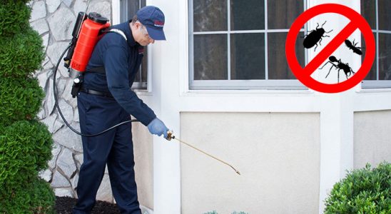 Hisarcık Hamam Böceği İlaçlama böcek ilaçlama ve haşere kontrolü — ilaclama-tr.com